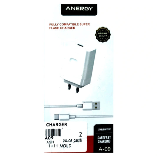 Anergy Charger A-09 100W