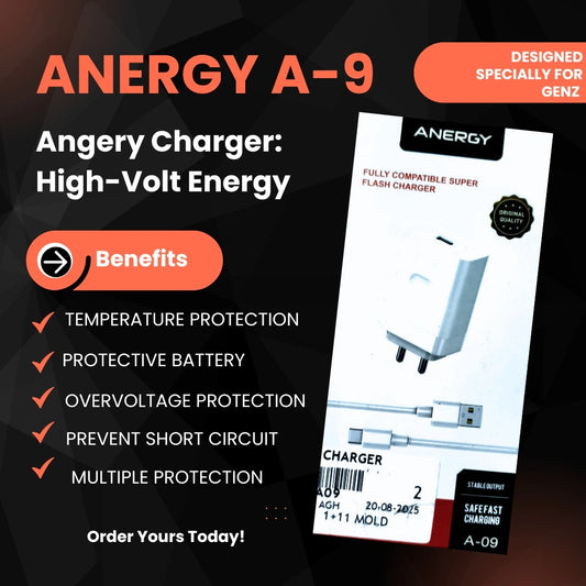 Anergy Charger A-09 100W