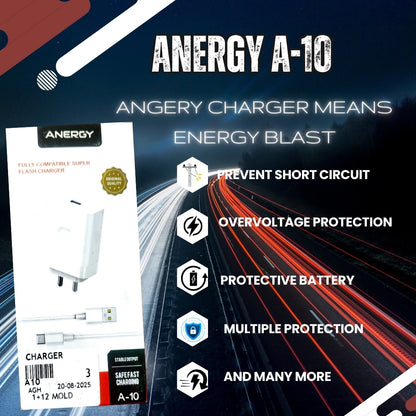 Anergy Charger A-10 100W