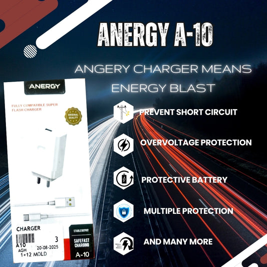 Anergy Charger A-10 100W