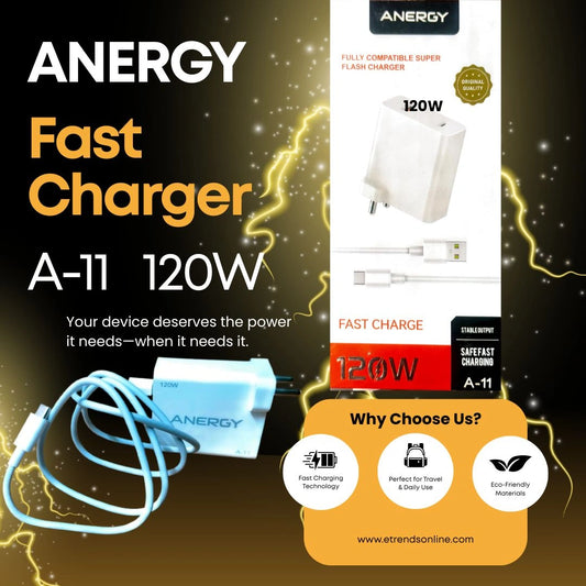 Anergy Charger A-11 120W